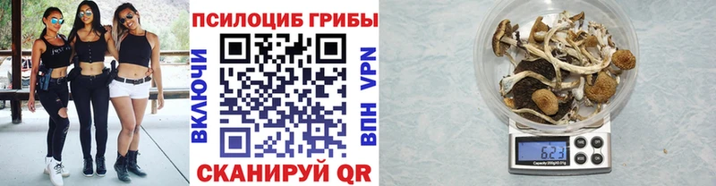 Псилоцибиновые грибы GOLDEN TEACHER  Арсеньев 