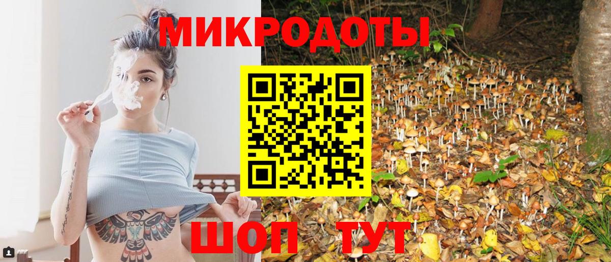 Галлюциногенные грибы Cubensis  Псилоцибиновые грибы MAGIC MUSHROOMS  Арсеньев  Вход с VPN 