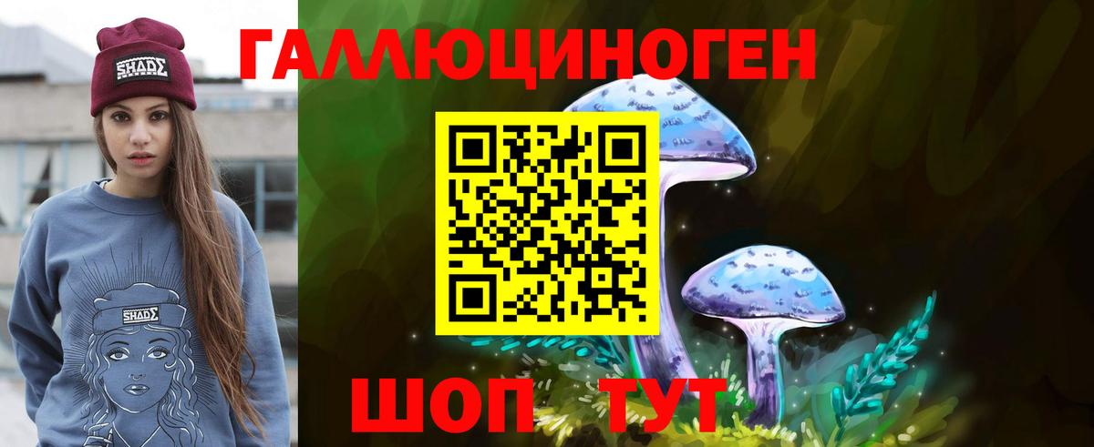 Псилоцибиновые грибы прущие грибы Арсеньев