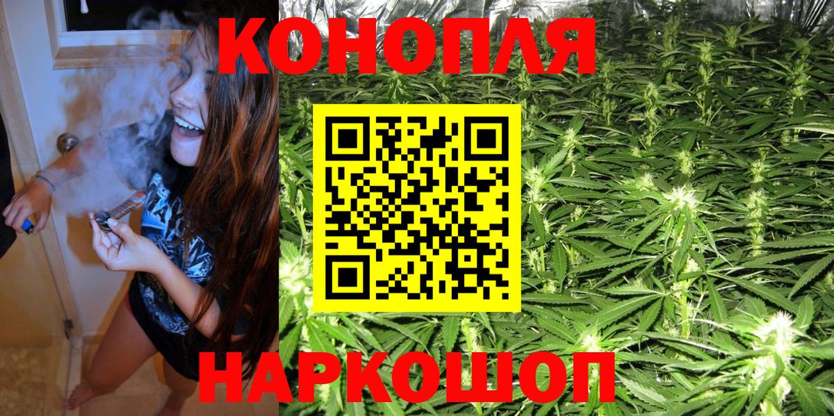 Каннабис планчик Арсеньев